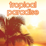 Suave Tropical Paradise Invisible Solid Anti-Perspirant Deodorant 2.6 oz (Pack of 12) - Image 6