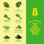 8Greens Supergreens Tablets | Super Greens Powder Superfood, Metabolism Immunity & Focus, Daily Greens Effervescent Tablets, Organic: Aloe Vera, Spirulina, Chlorella, Lemon Lime, Tube 30 Servings - Image 7