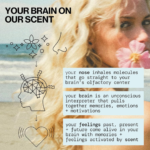 Pacifica Beauty, Island Vanilla Hair Perfume & Body Mist, Best Warm Vanilla Scent, Natural + Essential Oils, Alcohol Free, 100% Vegan and Cruelty Free, Clean Fragrance - Image 9